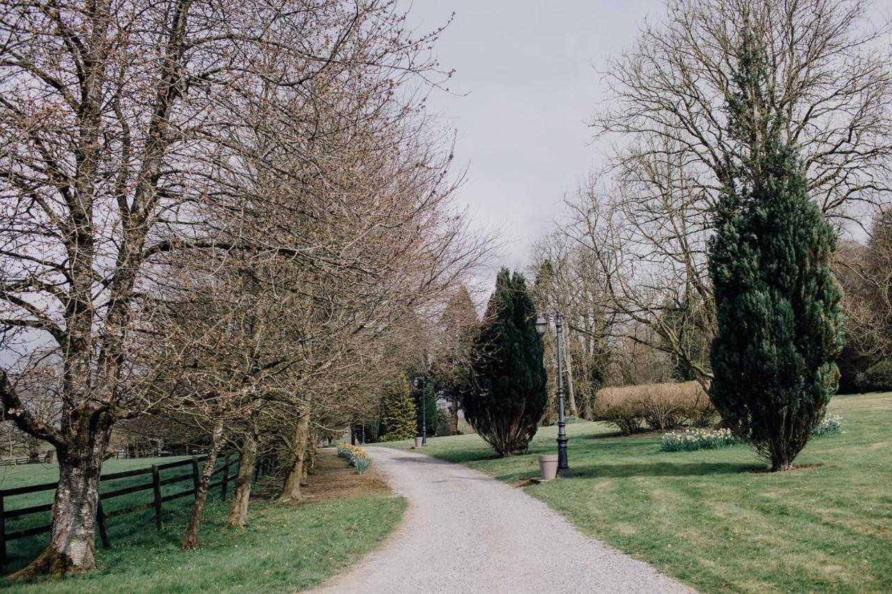 Noan Country House B&B Cashel  Dış mekan fotoğraf
