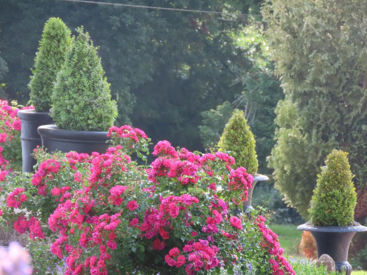 Noan Country House B&B Cashel  Dış mekan fotoğraf