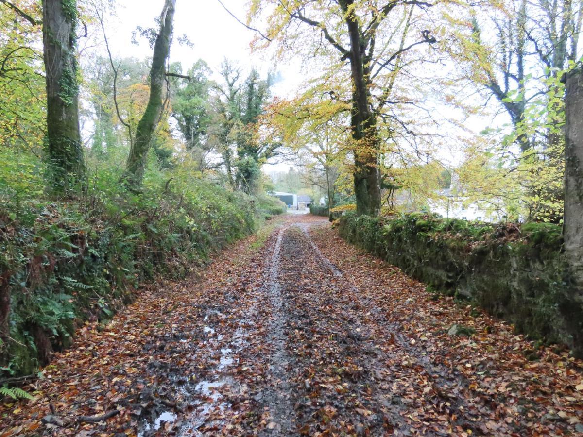 Noan Country House B&B Cashel  Dış mekan fotoğraf