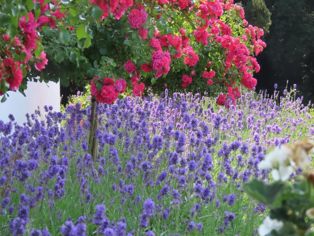 Noan Country House B&B Cashel  Dış mekan fotoğraf
